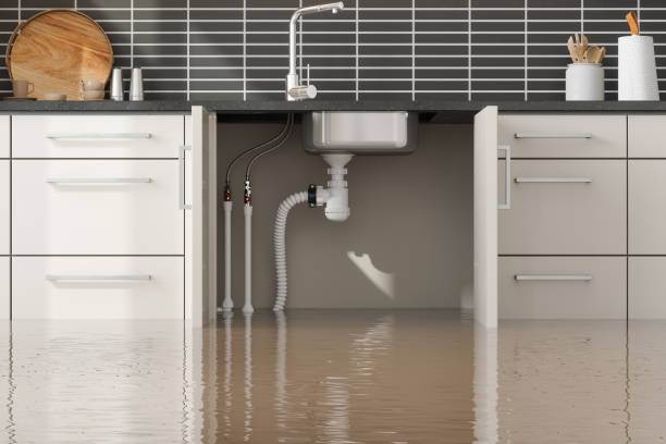 Best Basement water damage restoration  in Murfreesboro, AR