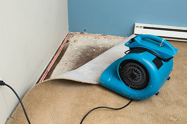 Best Water damage restoration company  in Murfreesboro, AR